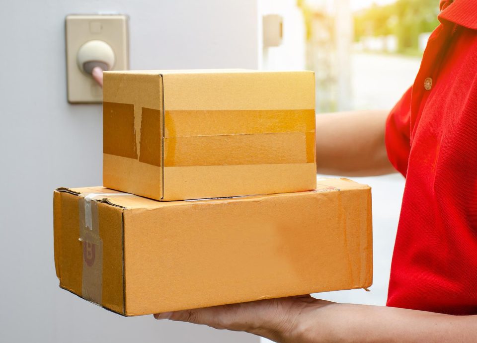 hand carry courier services